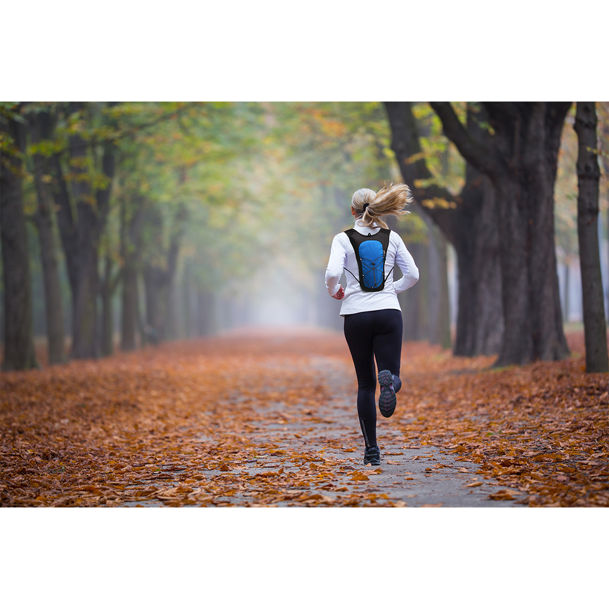 R08582.04 - Plecak sportowy Palmer, niebieski